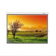 紅葉 150寸 幕布